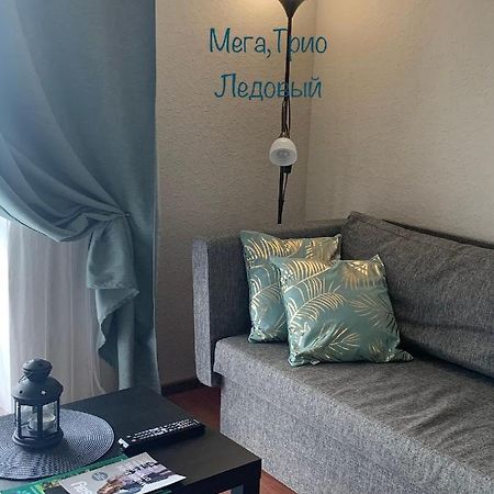 Gray Apartment Pobedy 21 ヴィーツェプスク エクステリア 写真