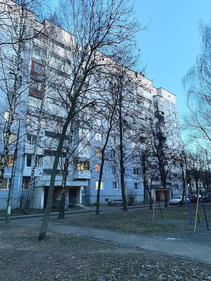 Gray Apartment Pobedy 21 ヴィーツェプスク エクステリア 写真